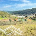 Bán đất khu nghỉ dưỡng tại thị trấn lạc dương, 3 tỷ, 2969 m2, view đẹp, chính ẹp, chính chủ