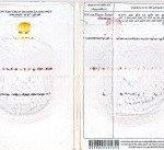 Bán đất xã an thới đông, huyện cần giờ, hcm. đất chính chủ, shr