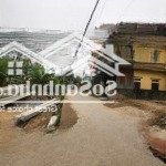 Cần thanh khoản gấp lô đất 80m2, tại thanh lâm, mê linh, hà nội. giá công nhân