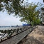 Biệt thự tây hồ - phố vũ miên - 10m ra mặt hồ - mt khủng 10m - ô tô - sổ đẹp - ở luôn - khu vip