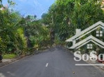 Gấp lô sổ đỏ cát lái dt: 5x21.9m giá 58tr - lô 5x20 giá: 63tr - 65tr - lô 8x20m và 7x17 giá: 55tr