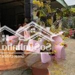 Bán đất tặng nhà cấp 4 - oto tránh - kinh doanh đỉnh cao - 240tr/m - tiềm năng phát triển