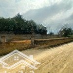 Lô đất 226.8m2 chỉ mười mấy triệu tại: nhòn tiến xuân, thạch thất, hà nội, rẻ nhất khu vực