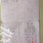 đa ngư tân trào tiềm năng cụm khu công nghiệp cảng