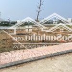 Chỉ nhỉnh 1 tỷ sở hữu ngay mảnh đất biển đẹp tuyệt tại quất lâm cạnh resort 5 sao flamingo