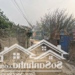 Chính chủ bán 133m2 đất hải bối, đông anh
