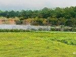 Bán gấp trang trại đẹp tại xã tiến xuân, thạch thất, hà nội, 10 triệu vnd/m2 1800 m2 lh: 0982361866
