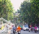 Bán gấp nhà góc 2mt hoàng hoa thám q bt dt: 8x20m cn: 160m2 kc: 3t giá bán: 33 tỷ