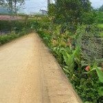 Bán đất tại yên bài, ba vì, hà nội, 10 triệu, 300m2 giá ưu đãi hot