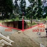 Tôi bán lô góc 480m mt: 20mx24m sát trục đê đáy xã thượng vực-chương mỹ ngõ chạy vòng quanh đất