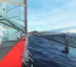 Em trang chuyên dự án 110 cầu giấy xin cập nhật quỹ căn 1-2-3pn giá tốt nhất, giao dịch chính chủ