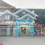 Hiếm, siêu phẩm kinh doanh mặt phố 8/3, lô góc 2 thoáng