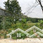 Bán đất 102m2 tại mỹ trung, xuân khanh, sơn tây, h xuân khanh, sơn tây, hà nội, giá cực chất 1,5 tỷ
