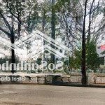 Bán giá đất tặng nhà mặt phố nguyễn khang 54m2, lô góc 3 mặt tiền, vỉa hè, kd sầm uất, giá 33 tỷ