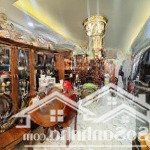 Nhà nguyễn trãi, q5, hcm, giá chỉ với 9,5 tỷ, 46m2, 3pn, 3wc, kvkd sầm uất
