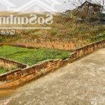 65.5m đấu giá chi đông, lệ chi, gia lâm đường oto tránh nhau, giá chỉ 57triệu/m (có thương lượng)