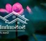Chính chủ bán nhà mặt phố nguyễn siêu, hoàn kiếm vị trí đẹp
