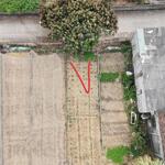 Lô đất 126m2 trong đó có 100m2 thổ cư, 26m2 cln