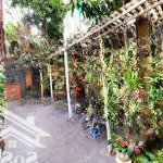 Biệt thự hoàng gia tại ciputra tây hồ - giữ tiền an toàn sinh lời bền vững - 200m2 - giá còn 85 tỷ