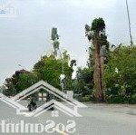 Vị trí nhiều người mơ ước, khu 31ha, lõi gia lâm, kinh doanh bất chấp,