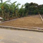 Bán đất hương sơn , ngon như bánh tráng trộn!