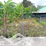 Bán lô đất dân 100m2 gần ủy ban xã, trung tâm hành chính diên khánh, cách cao bá quát chỉ 1km