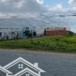 đất thổ cư giá siêu hời tại đường bờ mồi, xã phước tuy, cần đước. diện tích 150m2/290tr .đã có shr.