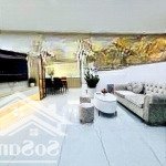 ô tô đỗ cửa - ngõ rộng mênh mông- cách ô tô tránh 30m -lõi hai bà trưng-45m- nhỉnh 9 tỷ