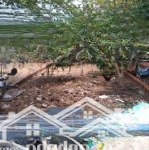 đất bán thổ cư 116m2 xdtd. giá đang 445tr lê văn lương, long hậu, long an. shr, sang tên trong ngày