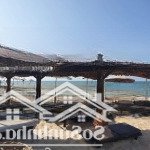 Bán 5000m2 view biển super vip cạnh sungroup nguyễn đình chiểu, hàm tiến sân bay phan thiết 1.5tr/m