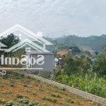 Thơ mộng,view đẹp hết ý giá rẻ nhất thị trường 2,x tỷ
- diện tích 295m-80tc siêu đẹp
- mặt tiền 16m