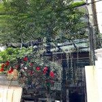 Biệt thự gần ngoại giao đoàn, xuân la - lô góc, sân vườn, hầm ô tô, 5 tầng tm, 110m2, chỉ 25.5 tỷ