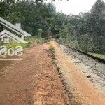 Quỹ đất vuông vức minh đức, hớn quảng, bình phước. tổng diện tích 14ha, giá bán 4.2 tỷ /ha