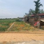 Bán đất tại xã phú cát, quốc oai, hà nội, 25 triệu/m2, 134.3 m2, chính chủ