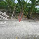 Cc cần bán đất quán trang, bát trang, an lão, hải phòng