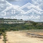 Bán đất tại quốc lộ 20, xã ninh gia, đức trọng, lâm đồng, 250.3 m2, view đẹp mênh mông