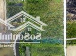 Bán đất vườn 2.242m2, có sẵn thổ cư 540 m2. hẻm đường nguyễn thị điểm, tân bình tân trụ, long an