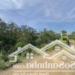 Bán 4.233m2 lộc đức có sẵn 200m2 đất thổ cư 50 mét mặt tiền đường nhựa