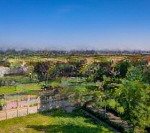 Bán nhanh căn góc 300m2 siêu vip giá đầu tư tại dự án the phoenix garden đan phượng