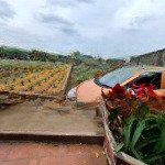 Chính chủ bán 78.1m vân tảo gần tỉnh lộ 427
