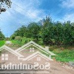 Bán đất mặt tiền đường nhựa lớn 4.000m2