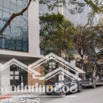 Siêu phẩm ccmn lô góc doanh thu 50tr/tháng, chỉ 10.5 tỷ trần thái tông, cầu giấy 15m ô tô