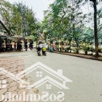 Hiếm! bán đất tặng nhà mặt phố nguyễn khang 54m2, lô góc 3 mặt tiền, vỉa hè, kd sầm uất, giá 33 tỷ