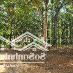 Em bán lô đất trước mặt là hồ lạc sơn, hoà bình tổng diện tích 1878m2 (300m2 thổ cư còn lại đấ