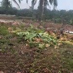 Chính chủ cho thuê mặt bằng 2000m2 tại khu phố hoà long, lái thiêu, tp thuận an