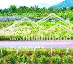 Bán đất mặt tiền đường nhựa diên lạc 809 triệu cạnh khu hành chính mới diên khánh