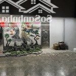 Bán biệt thự 52m2, 19,5 tỷ tại ngô thì nhậm, quang trung, hà đông, hà nội