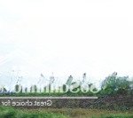Bán shophouse 60m2 tại evergreen bắc giang, 3,6 tỷ đông đúc dân cư dưới chân 16 tòa