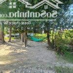 Chính chủ bán đất thổ cư tại ô bàn cờ nghĩa phú, quy hoạch an toàn