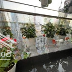 Bán căn 3 ngủ full đồ sunshine city có ban công phòng khách - sổ đỏ sang tên